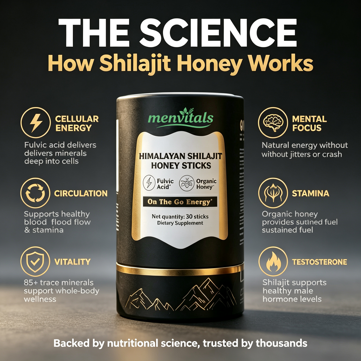 Menvitals Premium Shilajit Honey Sticks Energy, Stamina & Endurance |100% Natural | FDA&GMP&Halal
